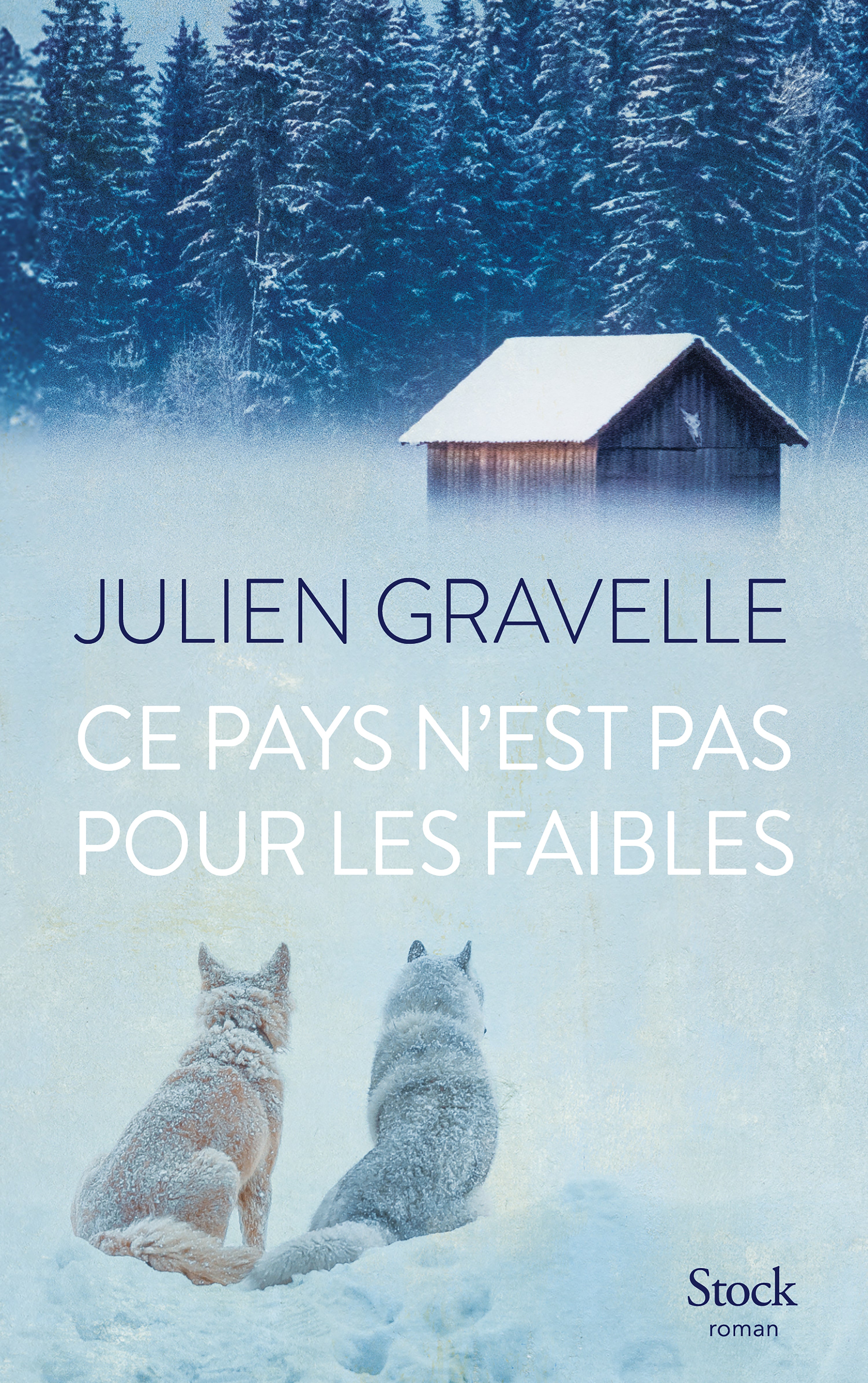 Ce pays n'est pas pour les faibles - Livre d'occasion