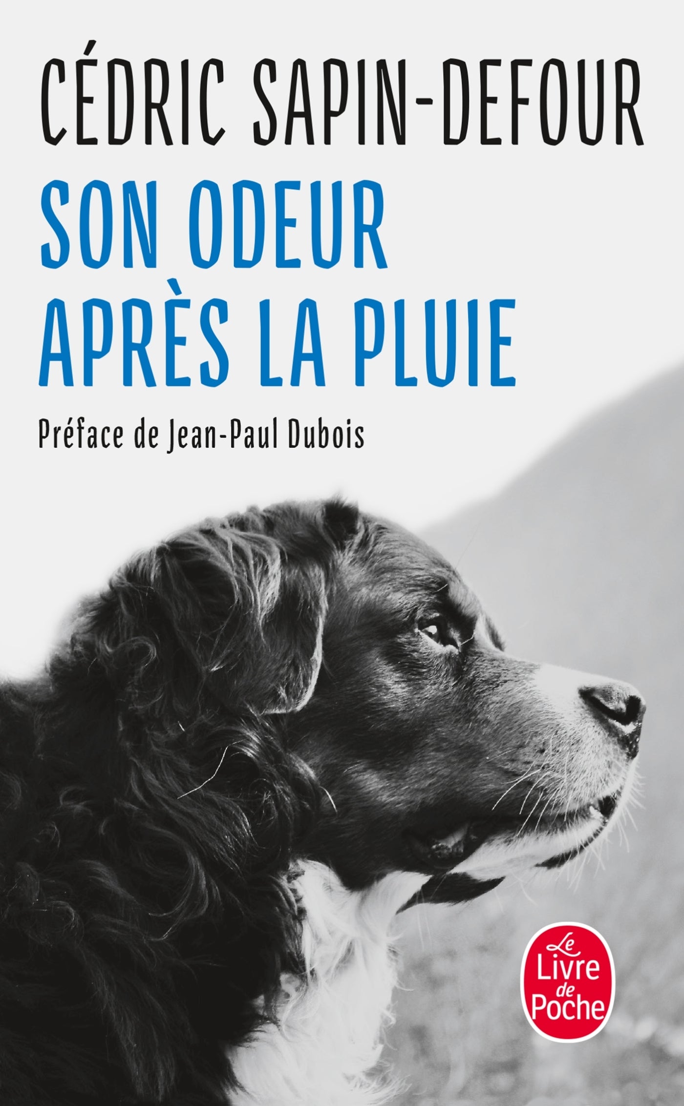 Son odeur apres la pluie - Livre d'occasion