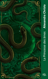 La princesse des ames (poche) - Livre d'occasion