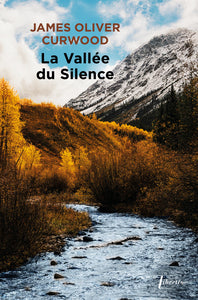 La vallee du silence - Livre d'occasion