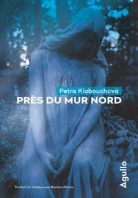 Près du mur nord - Livre d'occasion